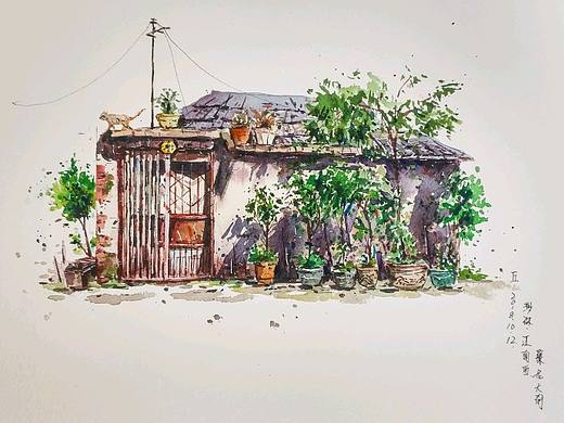 近期水彩新作