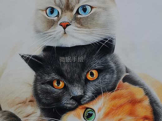 彩铅《三只叠罗汉的小猫咪》