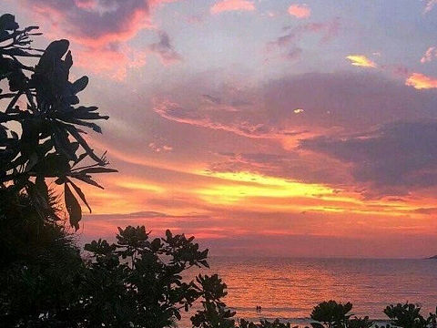 [z加油][z加油][z加油]