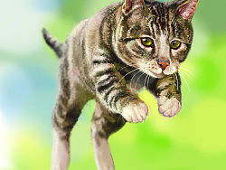 小貓（個人主頁-ZNTQyMjgw） - 商業(yè)插畫 - 站酷設(shè)計師jimmydeath原創(chuàng)素材 - 站酷ZCOOL