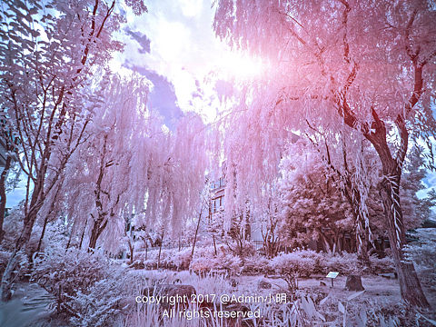 【红外摄影】蜃景