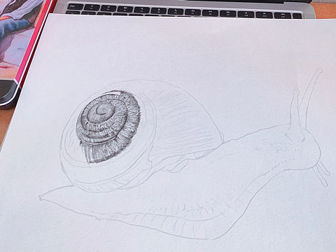 鋼筆畫(huà)??（個(gè)人主頁(yè)-ZNTA5MjQ1Mjg=） - 繪畫(huà) - 站酷設(shè)計(jì)師向日葵1984原創(chuàng)素材 - 站酷ZCOOL