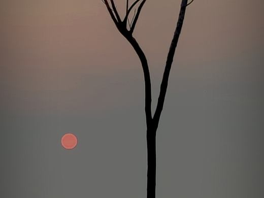 油菜花（个人主页-ZNTE1MDcwMTY=） - 风光摄影 - 站酷设计师PeachYOM原创素材 - 站酷ZCOOL