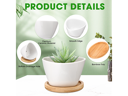 亚马逊-植物盆栽主副图