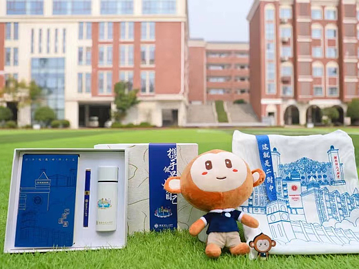 湖南师大二附中 校园文创产品设计 校园伴手礼 IP设计