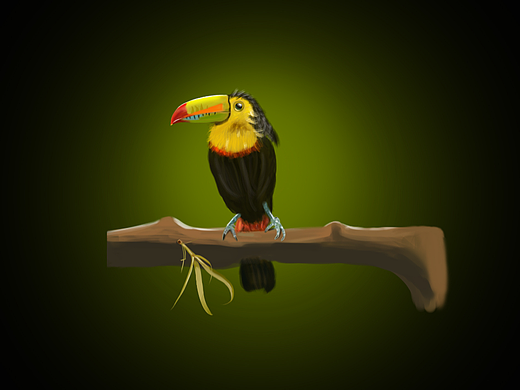 大嘴鸟_素材网站_图片免费下载-zcool站酷