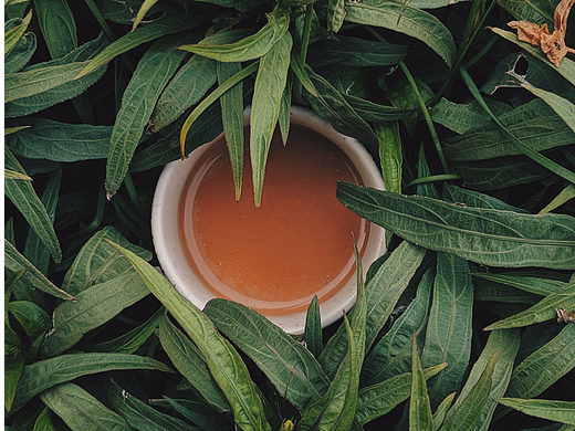 茶叶品牌vi设计提案