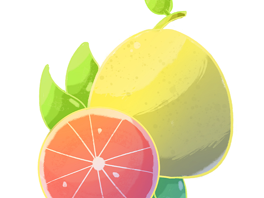 扁平肌理風(fēng)柚子（個人主頁-ZNjMzNDA2ODA=） - 創(chuàng)作習(xí)作 - 站酷設(shè)計師偏愛小璐原創(chuàng)素材 - 站酷ZCOOL