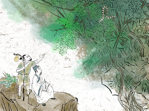 2024中医药主题月历插画设计
