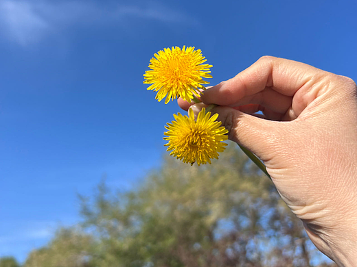 隨手一拍（個(gè)人主頁(yè)-ZNjg2MzUxMDQ=） - 風(fēng)光攝影 - 站酷設(shè)計(jì)師富貴子子原創(chuàng)素材 - 站酷ZCOOL