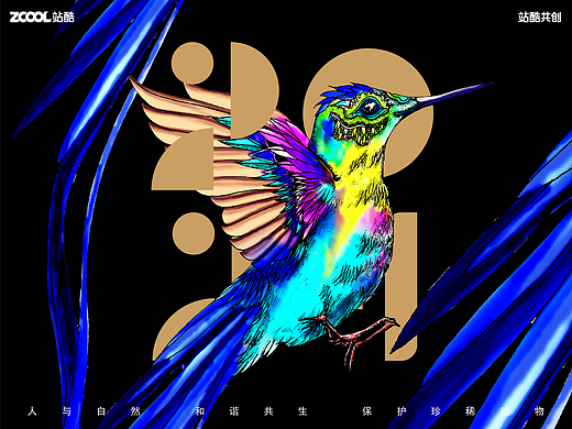 追光者—蜂鸟