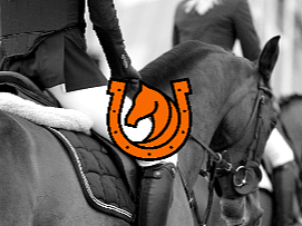 佳驭马术JIAYU EQUESTRIAN