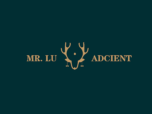 <MR.LU  ADCIENT>品牌提案设计