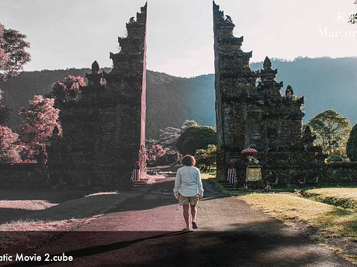 复古人像电影质感拍摄LUTs预设