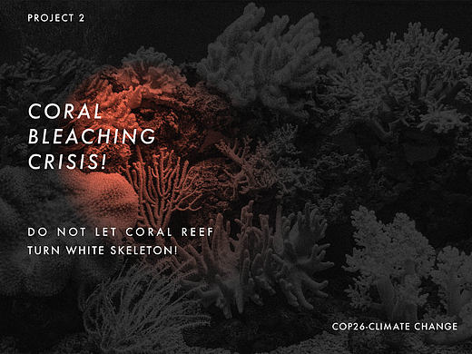 珊瑚白化-Coral bleaching