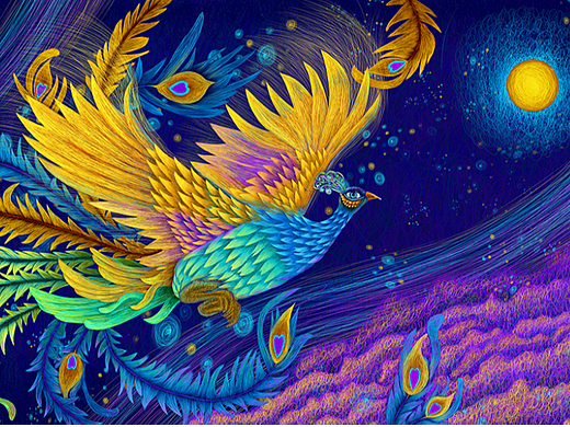 梦幻线圈插画孔雀凤凰