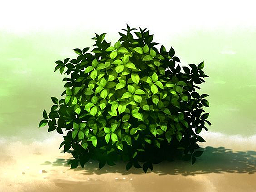 CG绘画丨板绘教程丨原画教程丨植物画法参考