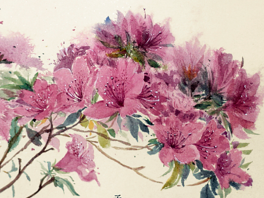 国风水彩花卉，定制vx13728913205