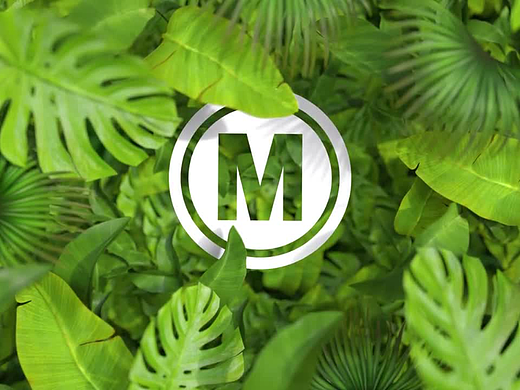 AE模板 | 清新大自然风格宣传片