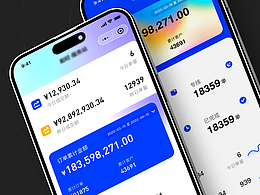 其他項(xiàng)目
