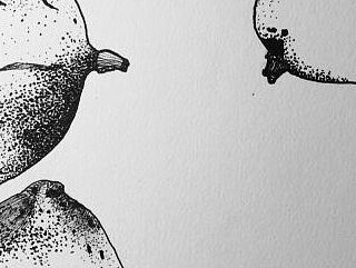 半生不熟 水果系列