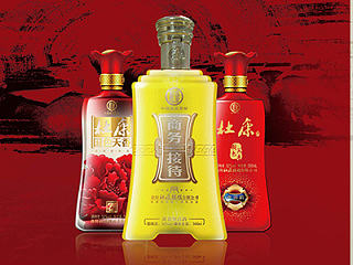 最具特色的杜康酒画册！[白酒始祖 中国杜康] 品鉴手册