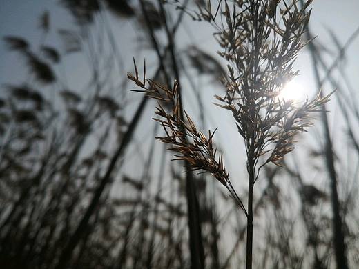 人物形象-插画设计/一次与时尚的相遇