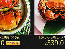 阳澄湖大闸蟹 无线端首页640