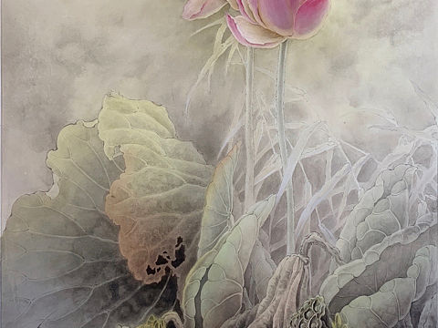 工笔荷花