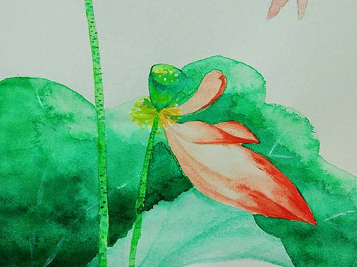 荷花（个人主页-ZMTk2NDA0NDg=） - 绘画 - 站酷设计师张若初原创素材 - 站酷ZCOOL