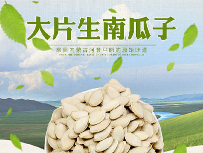 内蒙古瓜子河套生瓜籽生南瓜子详情页