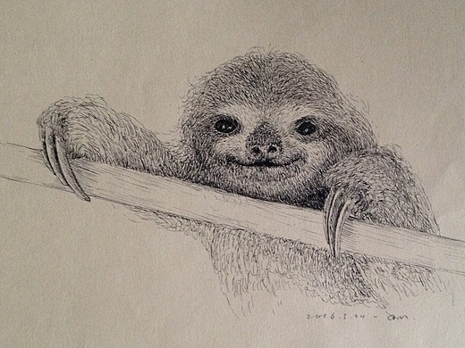 声50522纯艺术-绘画彩铅练习——马3年前马行画彩铅80584纯艺术-绘画