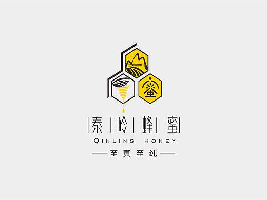 秦岭蜂蜜品牌logo设计 (飞机稿)