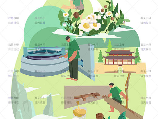 茶籽油包装插画