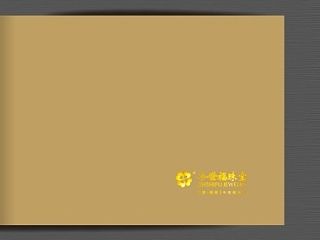 简洁 精致的珠宝画册