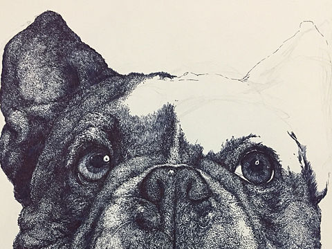 喜愛(ài)的狗狗（個(gè)人主頁(yè)-ZMjIxNTc4MDA=） - 繪畫(huà) - 站酷設(shè)計(jì)師大丌原創(chuàng)素材 - 站酷ZCOOL