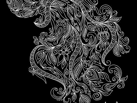 水母