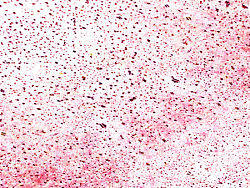 情绪墙纸系列94-95