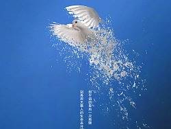 反战海报