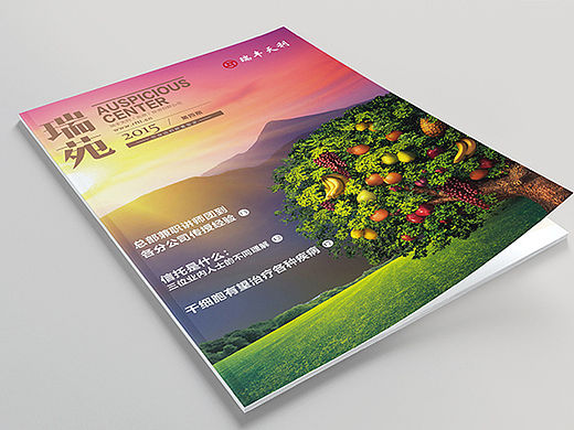 《瑞苑》15年第四期·季刊设计 | 北京海空设计