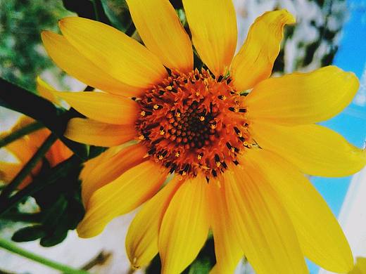 花未全开月未圆,人生正好是“小满”