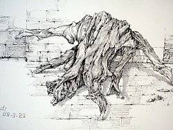 树头（个人主页-ZMTkwNzM3Mg==） - 商业插画 - 站酷设计师samak47原创素材 - 站酷ZCOOL