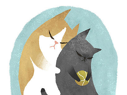 给我变成星星的猫咪 罗雨舒插画