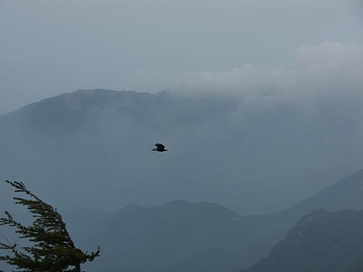 雾灵山 日出 风光