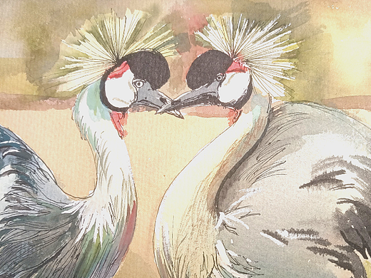 两只鸟（个人主页-ZNTk5NjYwODA=） - 绘画 - 站酷设计师路线的你你原创素材 - 站酷ZCOOL