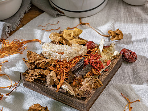 菌汤 食补