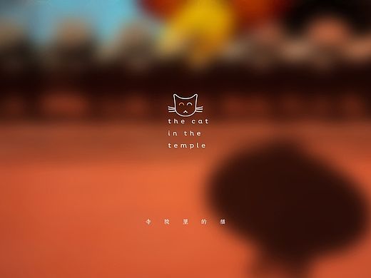 之间摄影/寺院里的猫