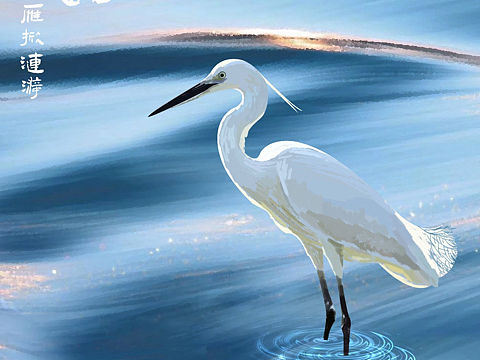 蒹葭苍苍 白露为霜 - 今日 白露