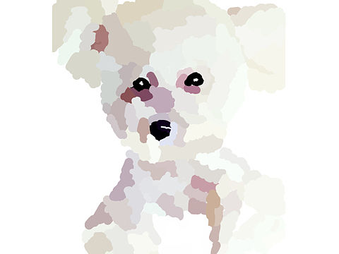 咿嘿嘿~纪念第一次画猫……