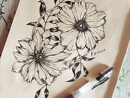 手绘花卉